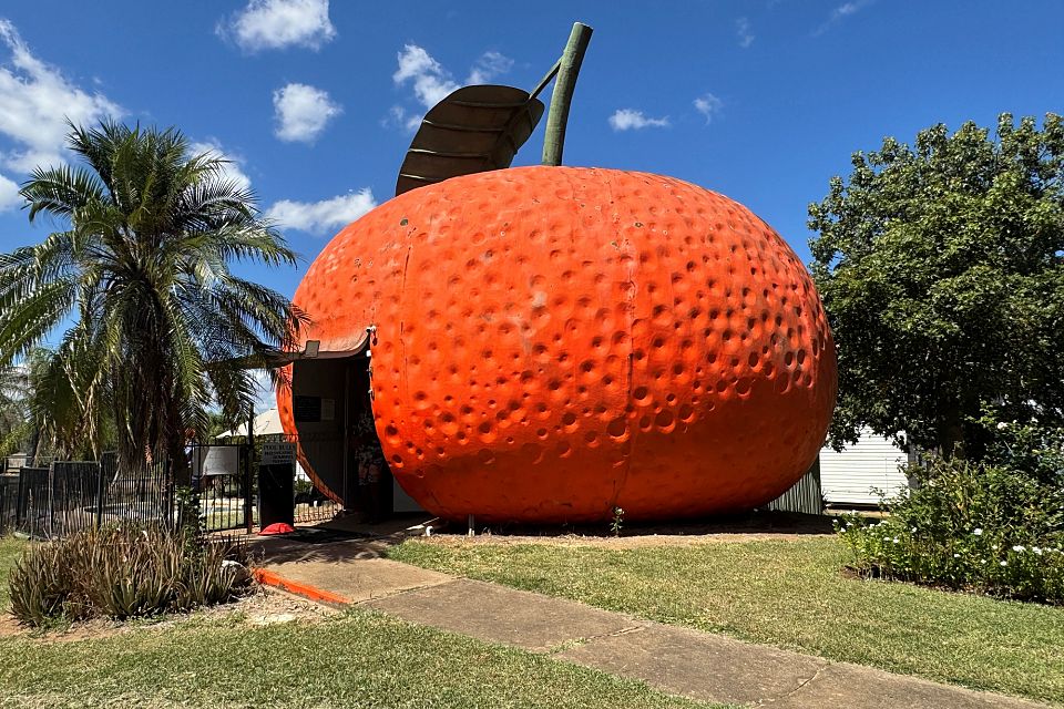 {{ image.name }}