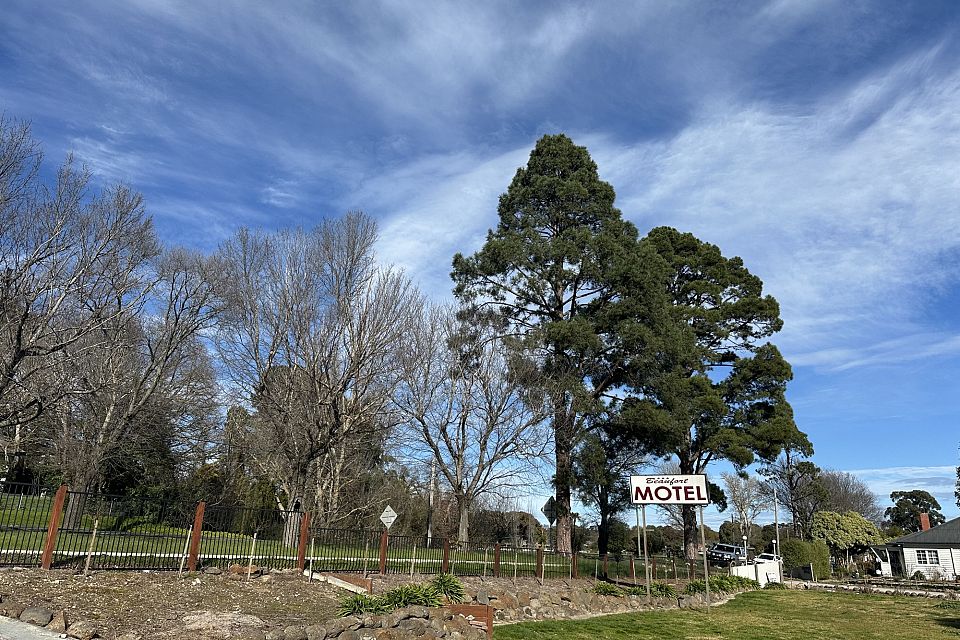 {{ image.name }}